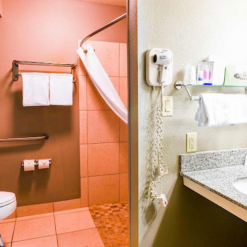 This image shows a bathroom with a walk-in shower, toilet, sink, mirror, hairdryer, and various toiletries on a shelf and countertop.