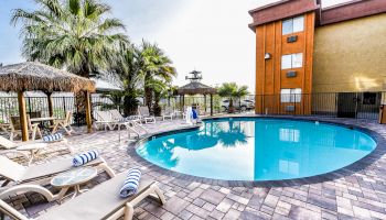 A serene outdoor pool area with lounge chairs, towels, umbrellas, palm trees, and an adjacent multi-story building in the background.