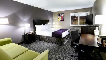 A modern hotel room with a king-sized bed, desk, chair, TV, sofa, bedside tables, lamps, and a wall painting, featuring grey walls and carpet flooring.